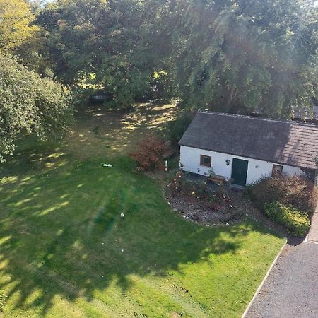 Cosy 2 Bed Cottage Next To Fota Wildlife Park Cork Exterior foto
